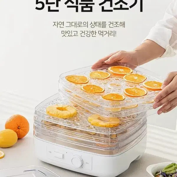 새재품) 신일 식품건조기 화이트 - 3번째 이미지
