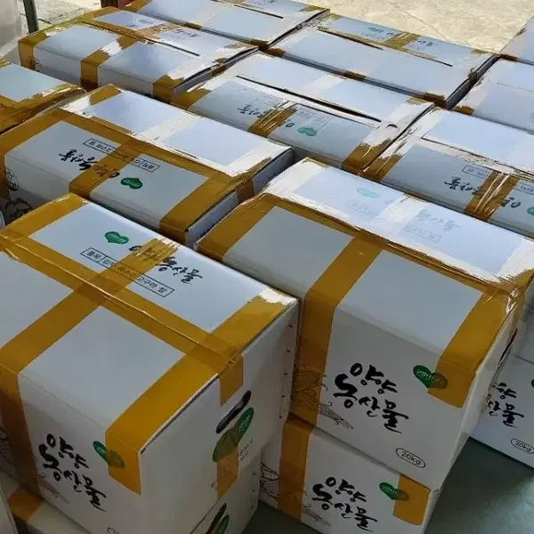 감자판매 포슬포슬 강원도 햇감자 수미감자 5kg - 4번째 이미지