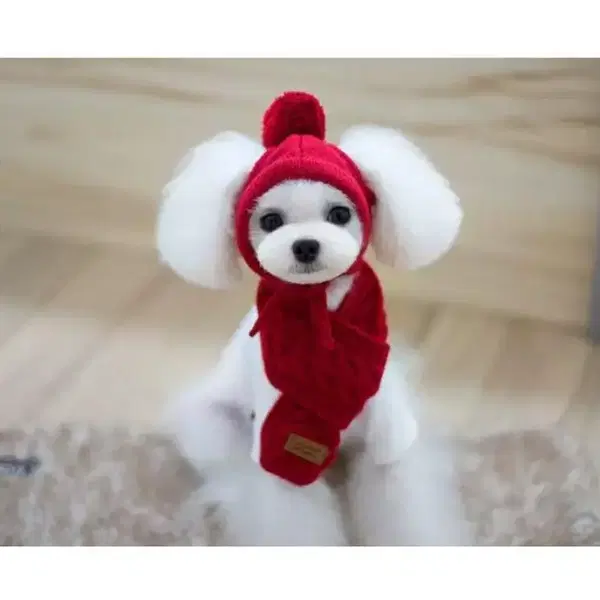 강아지 반려견털모자 목도리세트(새제품)