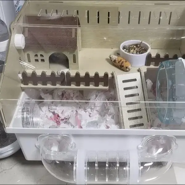 소통하기좋은 원가4만 햄스터 하우스, 집이라고 다 같지않아요 - 5번째 이미지
