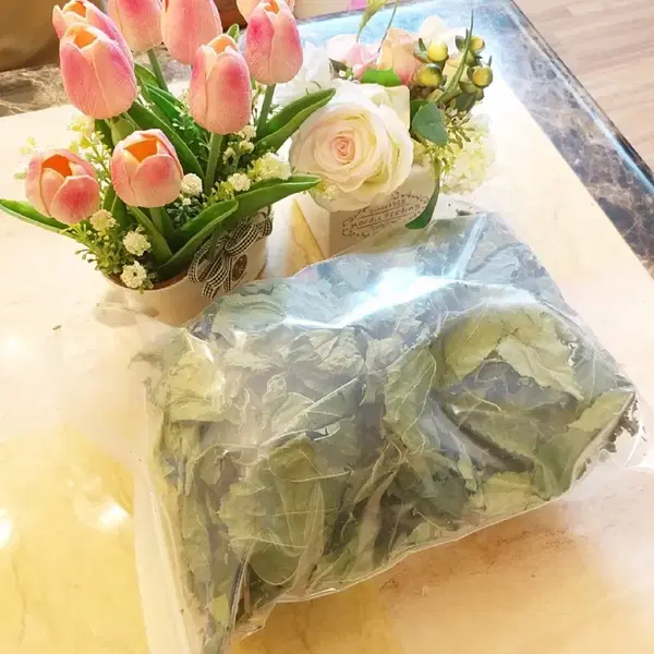 안동 무농약 햇빛 자연통풍 건조 최상급 뽕잎,산칡잎 - 5번째 이미지